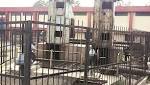 drowns while cleaning Delhi Board