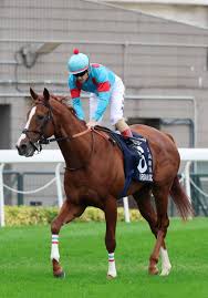 News source: Yahoo!ニュース