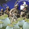 Story image for afghanistan opium cia from Center for Research on Globalization