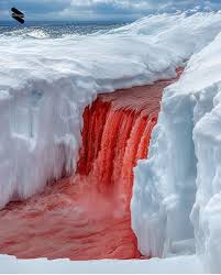 The blood waterfalls in Antarctica. 🔥 . Blood Falls in Antarctica is a natural phenomenon where iron-rich, salty water from a subglacial lake seeps through cracks in the ice and oxidizes upon