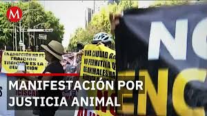 Bloqueo en reforma CdMx por refugio franciscano