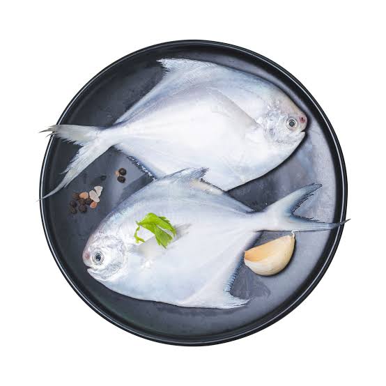 White Pomfret