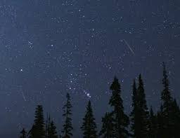 Summer Star Shower: Watch the Perseids with NASA!