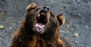 News source: ダイヤモンド・オンライン