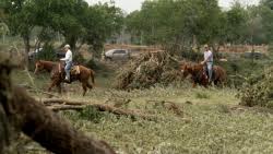 Volunteers on horseback look for missing people