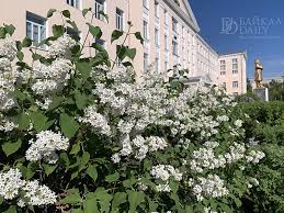 Байкал-Daily - News update