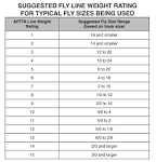 Choosing a Fly Line MidCurrent