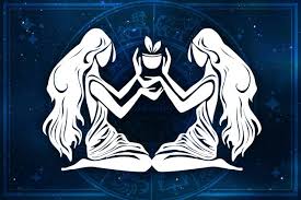 Hasil gambar untuk GEMINI