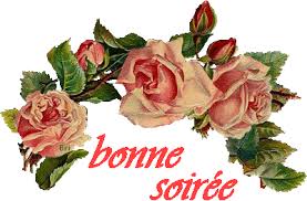 Résultat de recherche d'images pour "bonne soiréé"