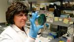  Genetic sleuthing bolsters food poisoning searches