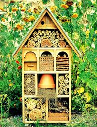 Résultat de recherche d'images pour "hotel a insecte palette "