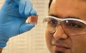 PhD student Anirudh Sharma with his new solar cells. Image: Ashton Claridge, Flinders University. Plastic solar cells could pave the way for a clean energy ... - Anirudh-Sharma-solar-cells