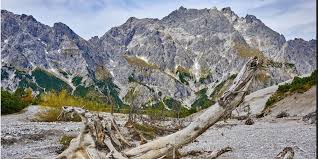 Alpin - News update