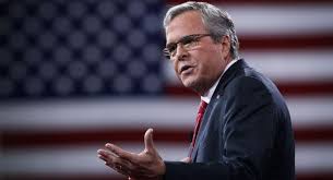 Image result for jeb bush