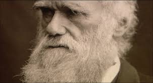 by Laura Keynes Filed under Belief, Evolution &middot; 275 Comments &middot; Darwin. &quot;Are you related to the economist?” people sometimes ask when they see my surname. - Darwin-600x330