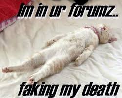 images?q=tbn:ANd9GcRkOc6Fa7j3tX-5eD767YeLCXGeKkQVGOxbw9FFql9yQx7aLHxXAQ