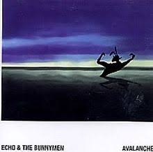 Резултат слика за echo and the bunnymen biografija benda
