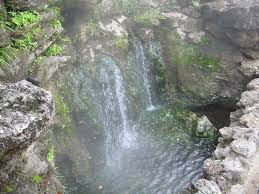 [Image: images?q=tbn:ANd9GcRkVmOK6j2Lo5q8P-443iE...q_7WNuAO95]