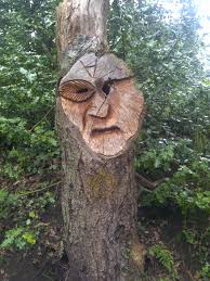 The angry wooden man, Lymm dam walk, Lymm Village, UK - img-20120519-01633