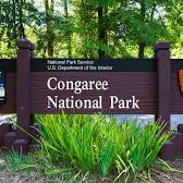 Congaree National Park