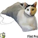 Laver un chat - Tout pratique