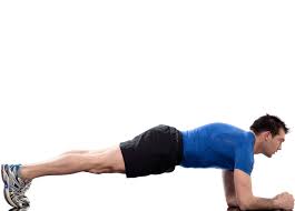 Image result for plank exercise