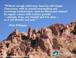 18 patriotic wilderness quotes for July 4th | Wilderness.org via Relatably.com