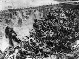 Résultat de recherche d'images pour "nazi mass grave"