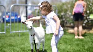 Earth Day has changed since its 1970 roots. Here's what it means today