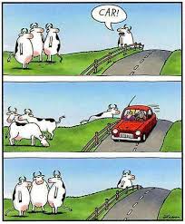 Image result for "gary larson" smite god