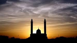 شبكة تواصل الإخبارية - News update