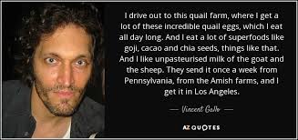 Vincent Gallo Quotes. QuotesGram via Relatably.com