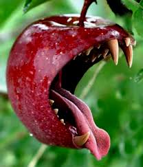 Resultado de imagen para el silencio muerde