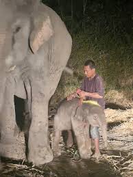 Baby #sprunki #myart #oc #jevinxtunner