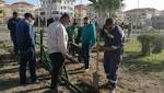 صور.. تنفيذ أعمال تطوير وتجميل