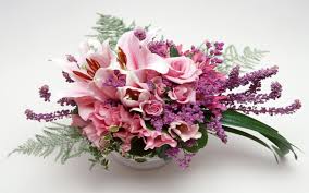 Image result for beautiful flowers pictures