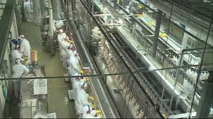 Exportações de carne bovina caíram em julho