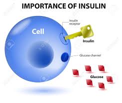 Resultado de imagen de insulina