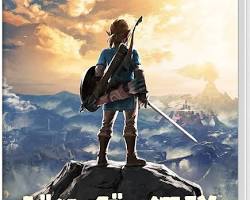 ゼルダの伝説 ブレス オブ ザ ワイルド ゲームソフト