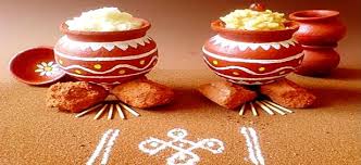 Image result for pongal festival images