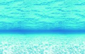Image result for under the sea