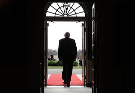 Titulares del 21 de Noviembre: Trump, Epstein y el Bitcoin Hoy