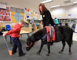 Image result for minature horse shoes