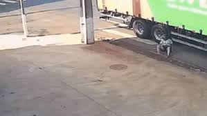 Idosa sobrevive após ser derrubada por caminhão e rolar por debaixo dele no asfalto, no Paraná