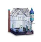 2 parrots singing and talking parrots cages <?=substr(md5('https://encrypted-tbn1.gstatic.com/images?q=tbn:ANd9GcRlSvSMvMNhCVBawCqq-ZGDK89r8apRXb-YG7g9WjghaNWrL_Kz0CM9q_8jzA'), 0, 7); ?>