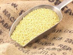 Image result for MILLET