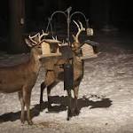  Outdoors | Diseased deer found on hunting preserve in Guernsey County