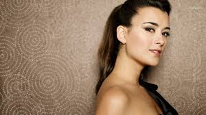 Image result for cote de pablo