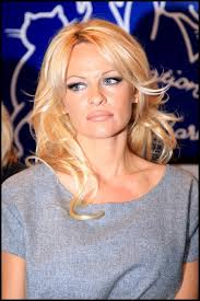 Pamela Anderson Quotes. QuotesGram via Relatably.com