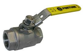 Fortune Valves - Fortune Valve